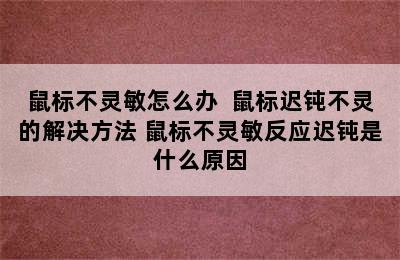 鼠标不灵敏怎么办  鼠标迟钝不灵的解决方法 鼠标不灵敏反应迟钝是什么原因